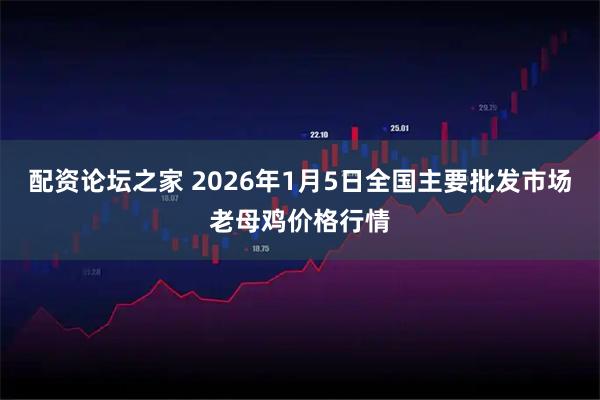 配资论坛之家 2026年1月5日全国主要批发市场老母鸡价格行情